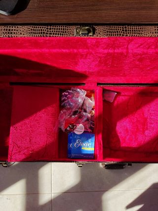 Guitarra PRS SE. 30th anniversary.Mas maleta.