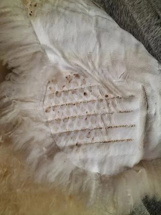 alfombra piel de oveja pura lana virgen 100cmx70cm