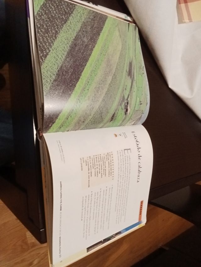 Una Ruta Diferente Por La Cocina Vegetariana (Spanish Edition)