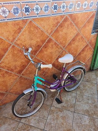 Bicicleta pequeña 