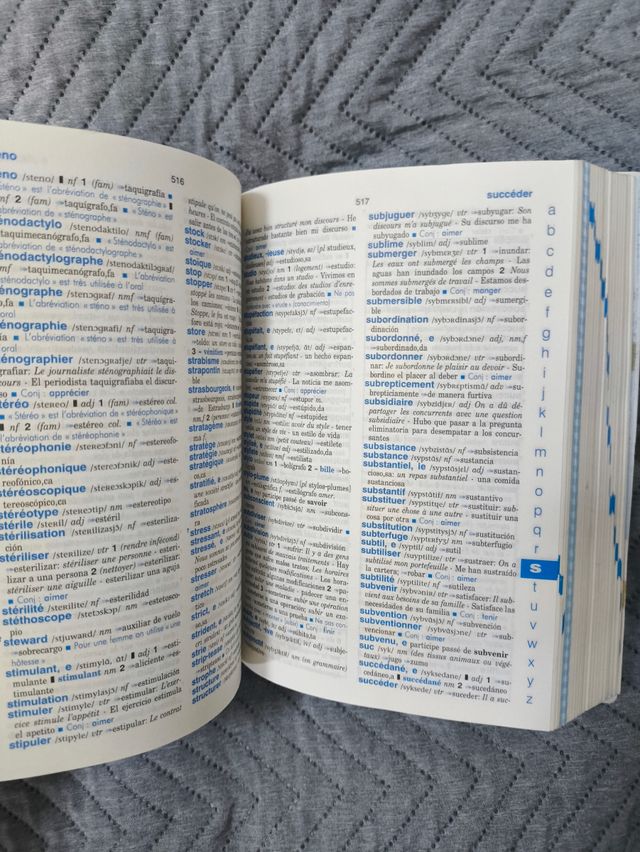 Dictionnaire Dico Nivel Avanzado