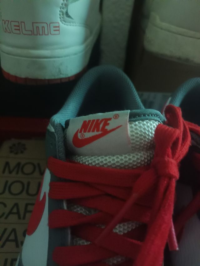 Nike dunk perfecto estado