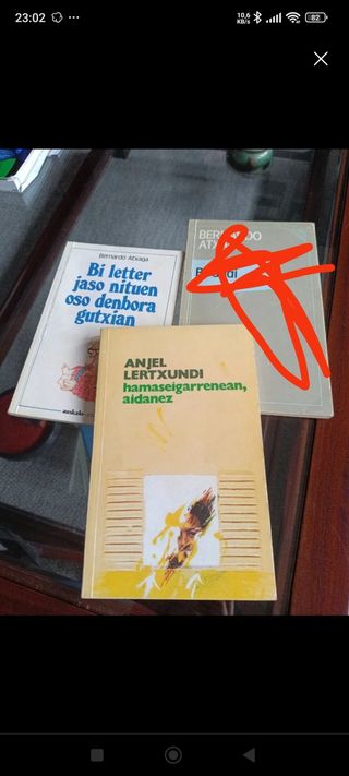 Hamaseigarrenean, aidanez (Erein literatura)