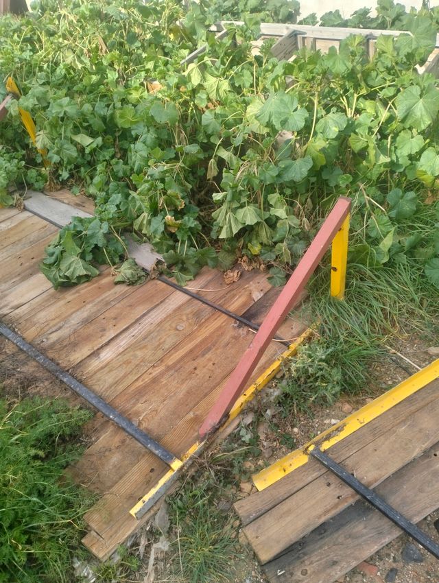 Tejado de madera para jardin