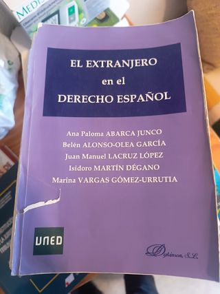 El extranjero en el derecho español
