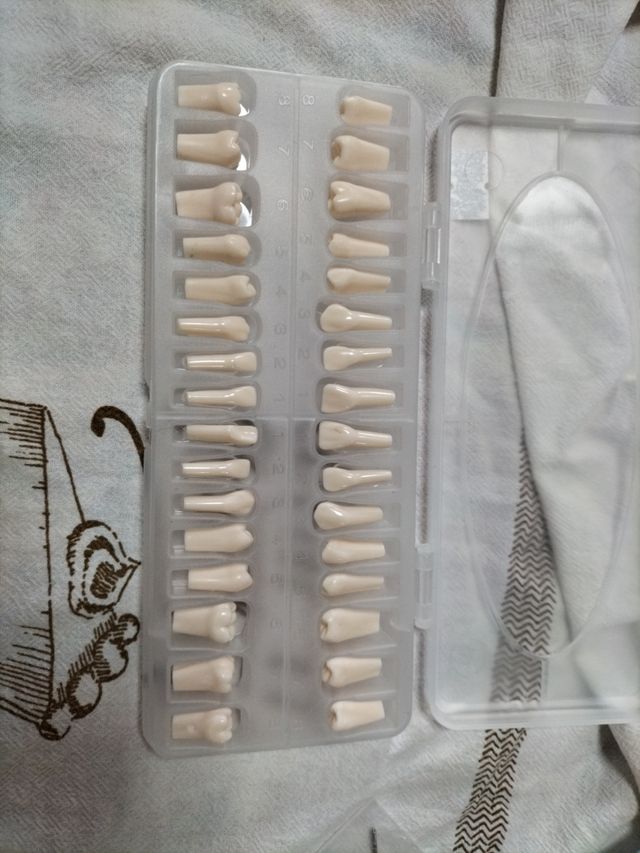 Modelo Dental de resinas para dentaduras postizas 