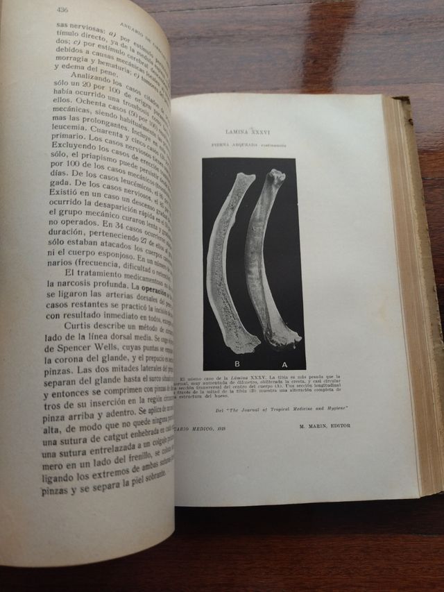 Anuario Ciencias médicas 1918