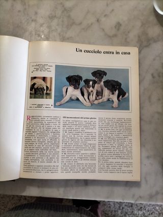 Animali Amici enciclopedia