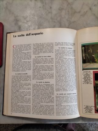 Animali Amici enciclopedia