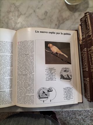 Animali Amici enciclopedia