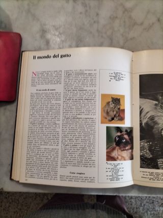 Animali Amici enciclopedia