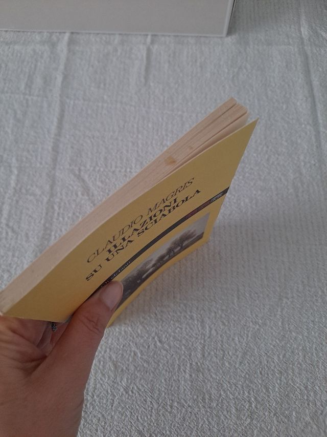 Illazioni su una sciabola, Magris