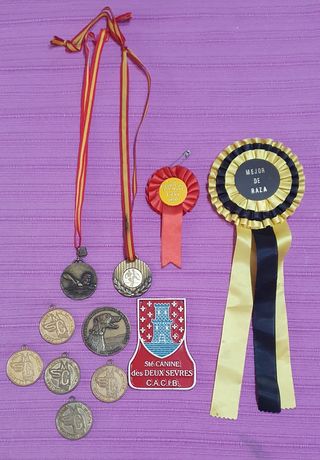 Medallas y trofeos