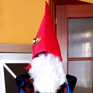 Disfraz carnaval Gnomo hombre talla M - L