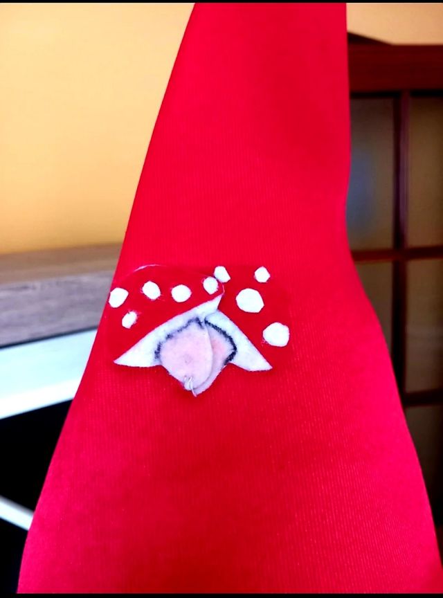 Disfraz carnaval Gnomo Niño/Niña 3-4 años