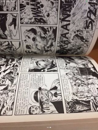 Fumetto Zagor Raccolta