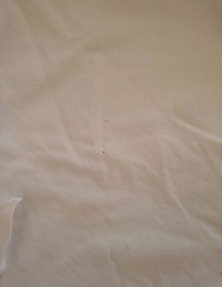 Kimono e Cinture Karate Bambino