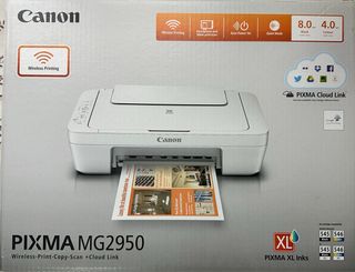 Impresora canon MG2950