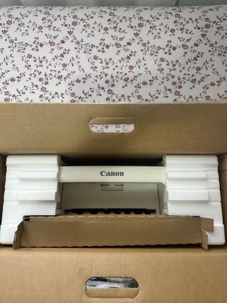 Impresora canon MG2950