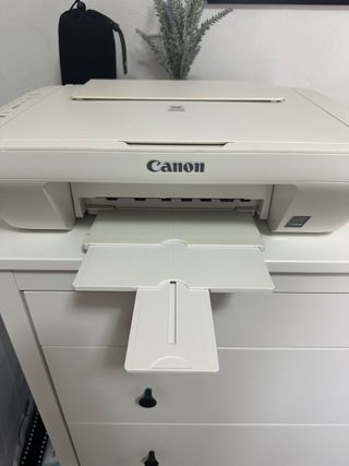 Impresora canon MG2950