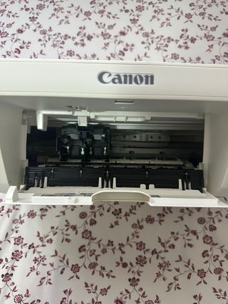 Impresora canon MG2950