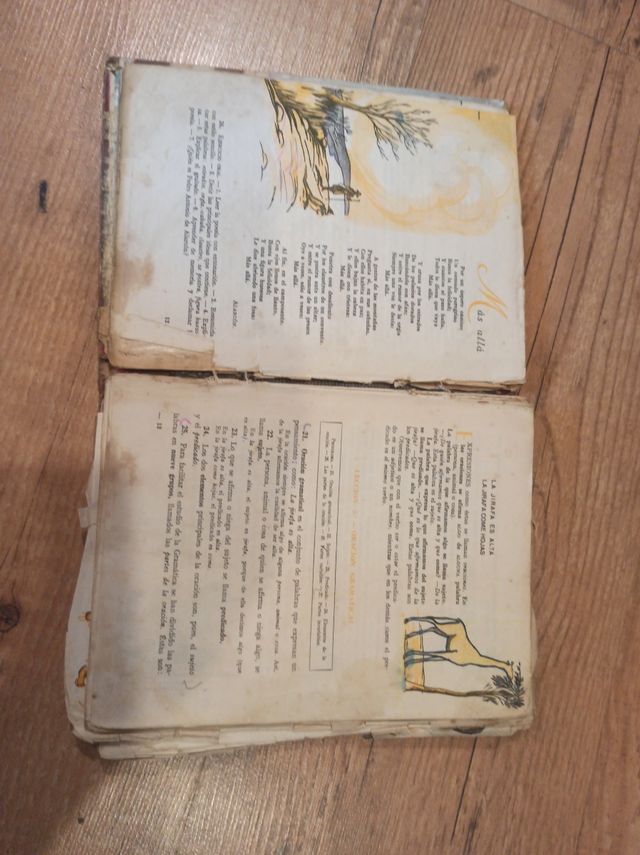 Gramática segundo grado