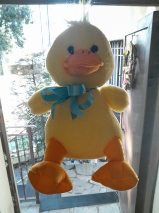 Coppia peluche
