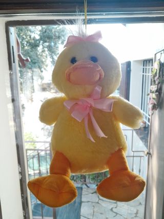 Coppia peluche