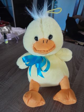 Coppia peluche