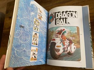 Dragon Ball Ilustraciones Completas
