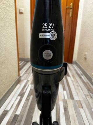 Aspiradora escoba Rowenta sin bolsa