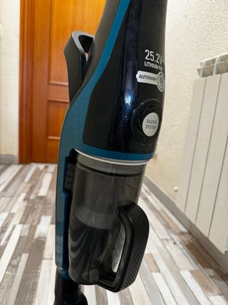 Aspiradora escoba Rowenta sin bolsa