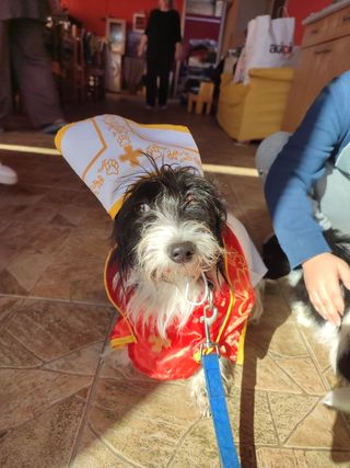 VESTITO CARNEVALE DA PAPA PER CANE