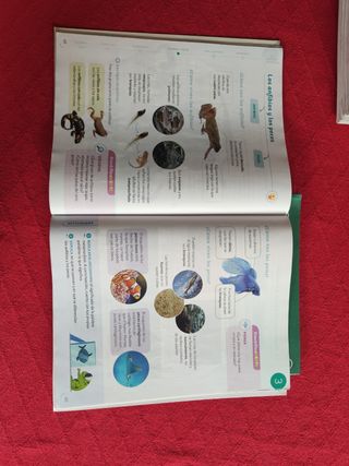 CONOCIMIENTO DEL MEDIO MOCHILA LIGERA 3 PRIMARIA CONSTRUYENDO MUNDOS