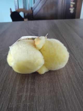 Peluche suonante