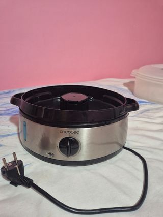 vaporera eléctrica cecotec