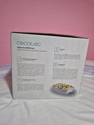 vaporera eléctrica cecotec
