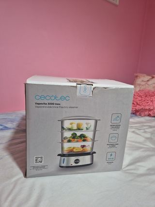 vaporera eléctrica cecotec