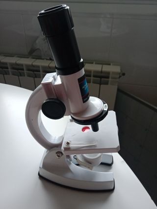 Microscopio infantil
