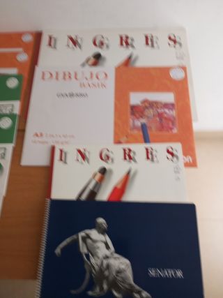 Lote de hojas,laminas y cuadernos dibujo