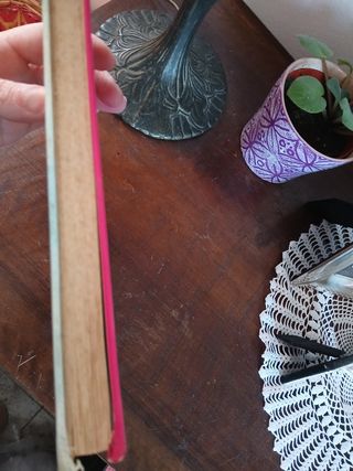 Libro il romanzo di Lady Oscar vintage