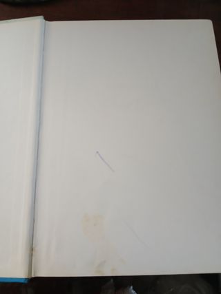 Libro il romanzo di Lady Oscar vintage