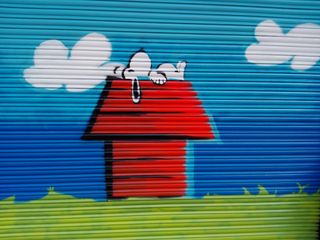 PINTO GRAFITI diseño pintura amano cartel luminico