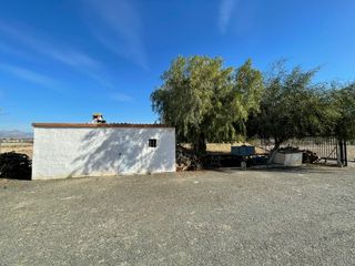 Chalet y gran terreno