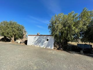 Chalet y gran terreno