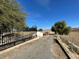 Chalet y gran terreno