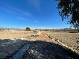 Chalet y gran terreno