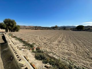 Chalet y gran terreno