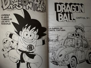 Bola de Drac Definitiva nº 03/34