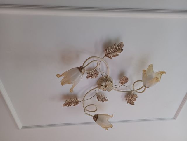 Plafoniera Classica in Ferro Battuto con 2 Aplic